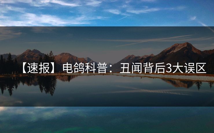 【速报】电鸽科普：丑闻背后3大误区