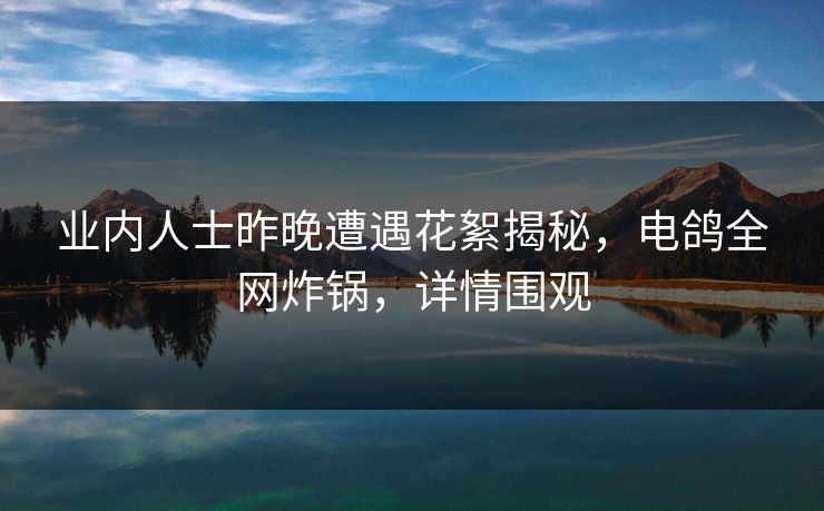 业内人士昨晚遭遇花絮揭秘，电鸽全网炸锅，详情围观
