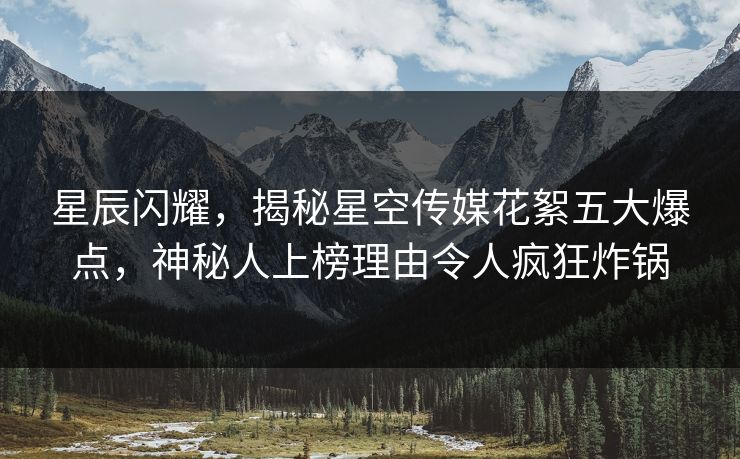 星辰闪耀，揭秘星空传媒花絮五大爆点，神秘人上榜理由令人疯狂炸锅