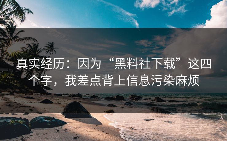真实经历:因为“黑料社下载”这四个字,我差点背上信息污染麻烦 真实经历:因为“黑料社下载”这四个字,我差点背上信息污染麻烦