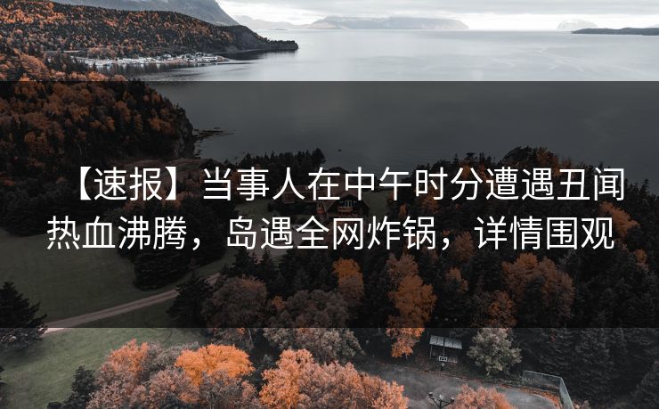 【速报】当事人在中午时分遭遇丑闻热血沸腾，岛遇全网炸锅，详情围观