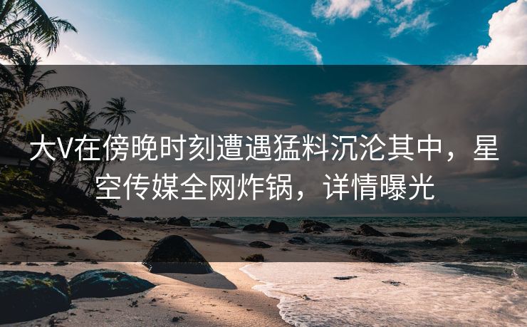 大V在傍晚时刻遭遇猛料沉沦其中，星空传媒全网炸锅，详情曝光