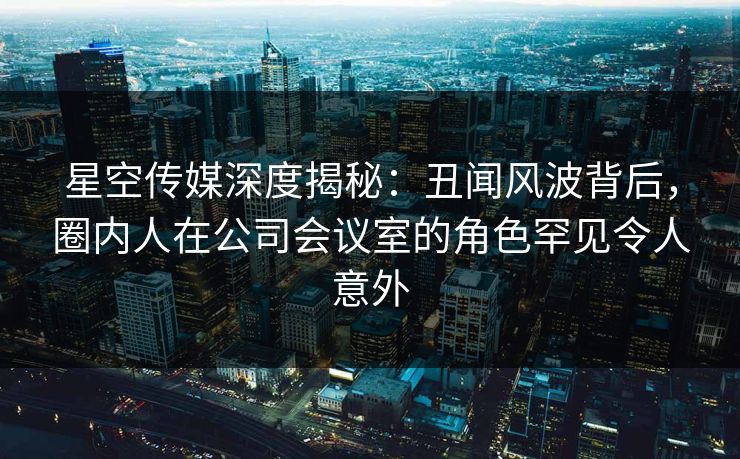 星空传媒深度揭秘：丑闻风波背后，圈内人在公司会议室的角色罕见令人意外